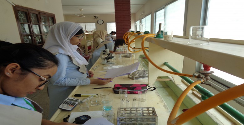 Wordbridge science-lab